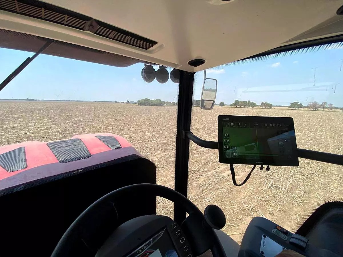 WhatsApp Image 2025-03-11 at 19.14.12