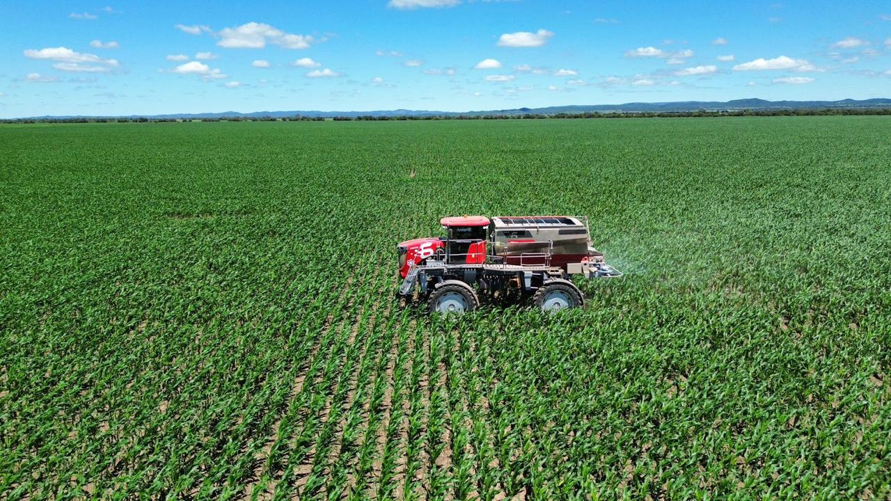 WhatsApp Image 2025-03-11 at 19.14.16 (1)