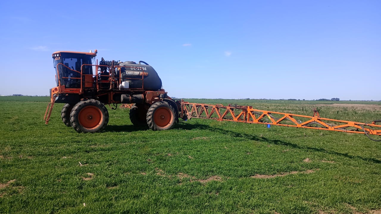 WhatsApp Image 2025-09-09 at 17.09.42