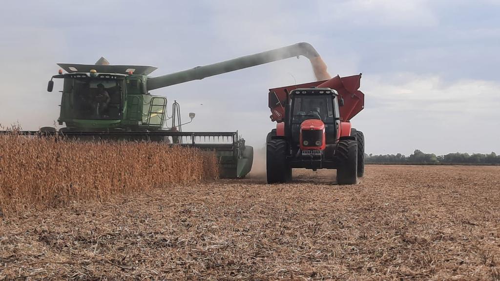 WhatsApp Image 2025-11-26 at 17.04.30 (1)