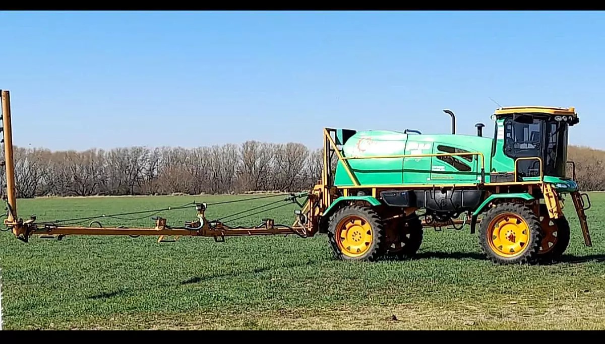 WhatsApp Image 2026-02-10 at 1.18.26 PM (2)