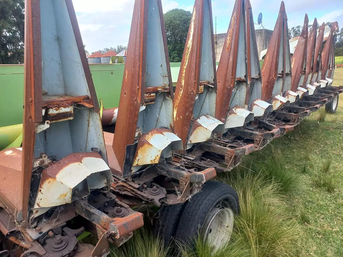 WhatsApp Image 2026-02-10 at 1.27.36 PM (1)