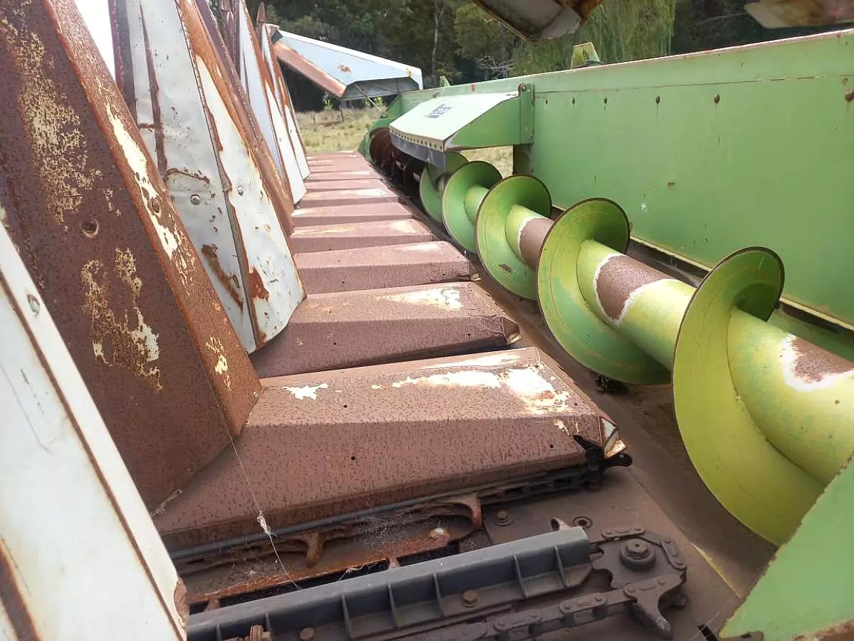 WhatsApp Image 2026-02-10 at 1.27.36 PM (2)