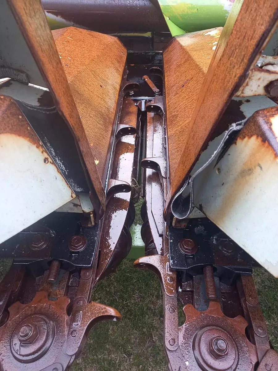 WhatsApp Image 2026-02-10 at 1.27.36 PM (3)