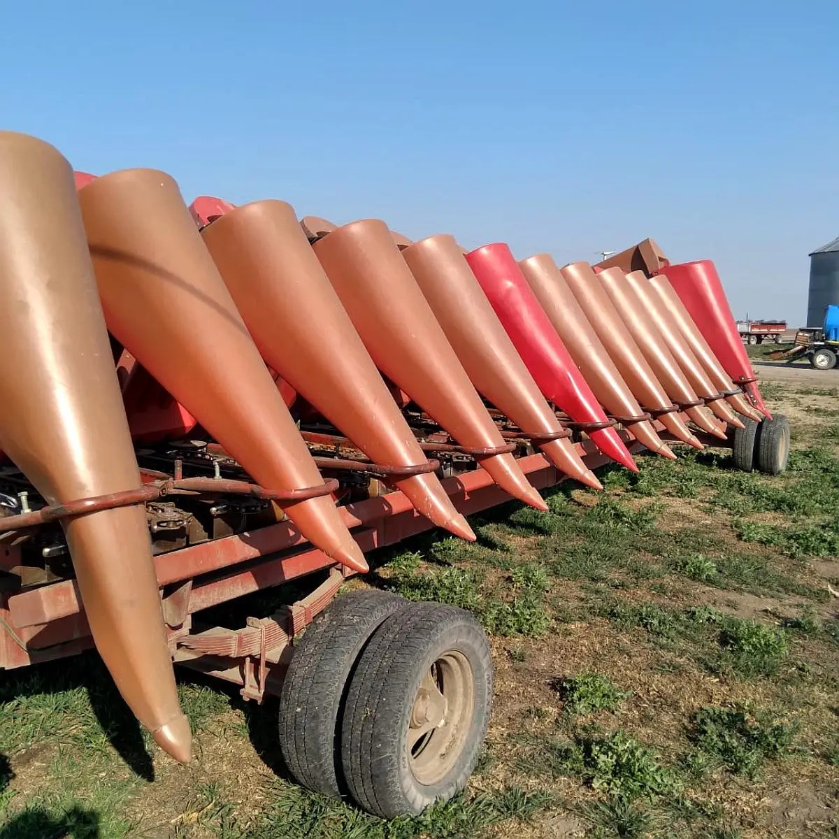 WhatsApp Image 2026-02-11 at 6.02.03 PM (1)