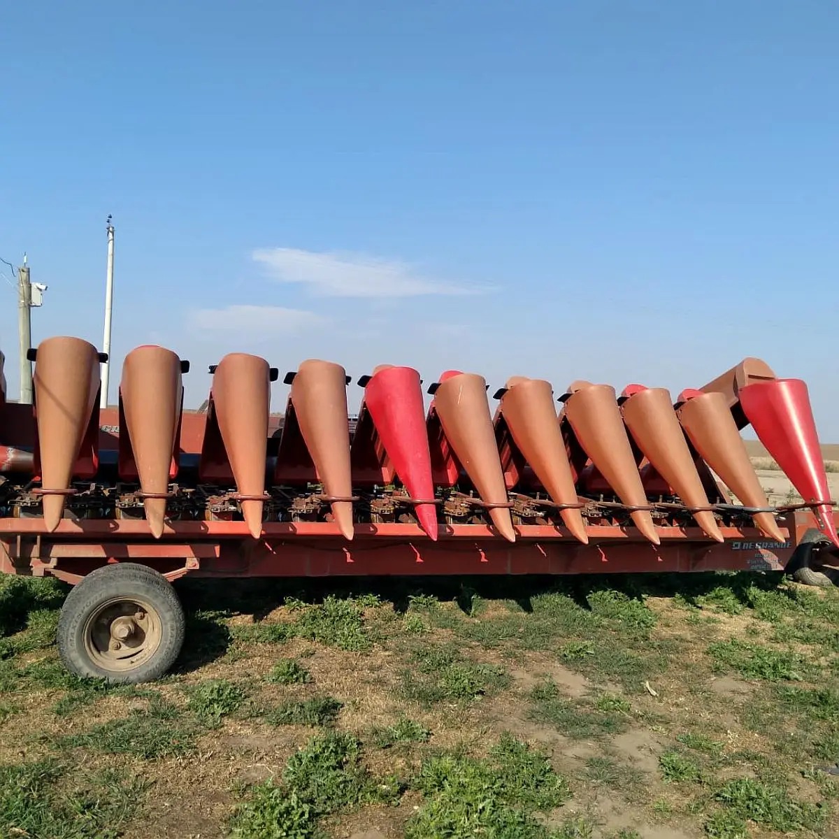 WhatsApp Image 2026-02-11 at 6.02.03 PM (3)