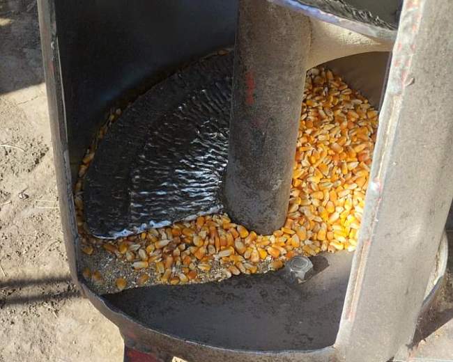 IMG_0062