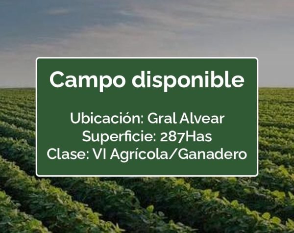 CAMPO BUENOS AIRES, GENERAL ALVEAR, 287 HAS, SUELO 6