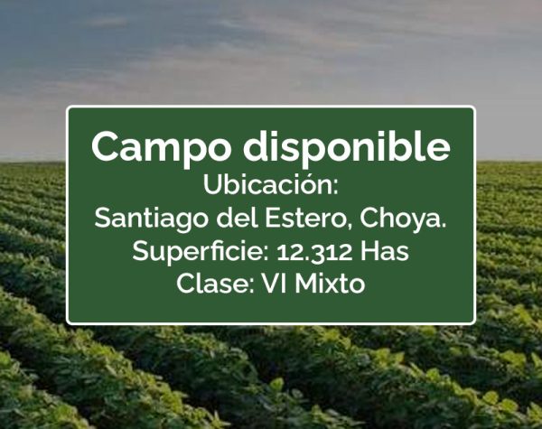 CAMPO-SANTIAGO-DEL-ESTERO,-AL-SUR-DE-CHOYA,-TODO-TIENE-MONTE-SELECTIVO